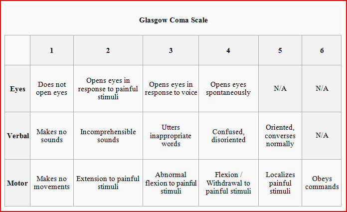 Glasgow Coma Scale Assessment Chart