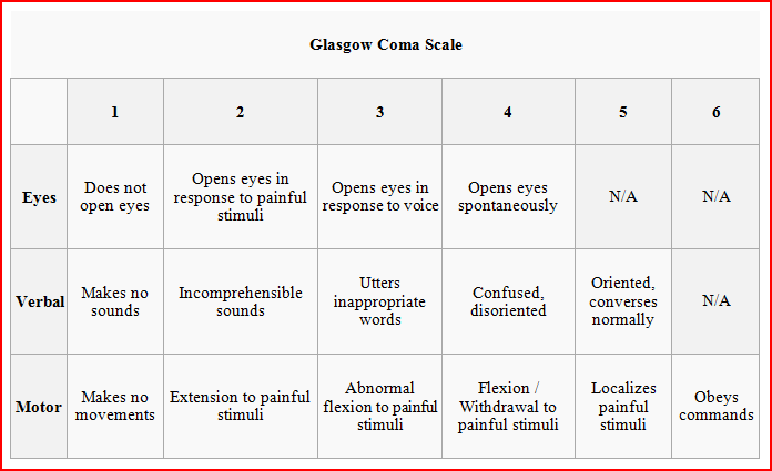 Dacota Manual English Glasgow Coma Scale On Scene